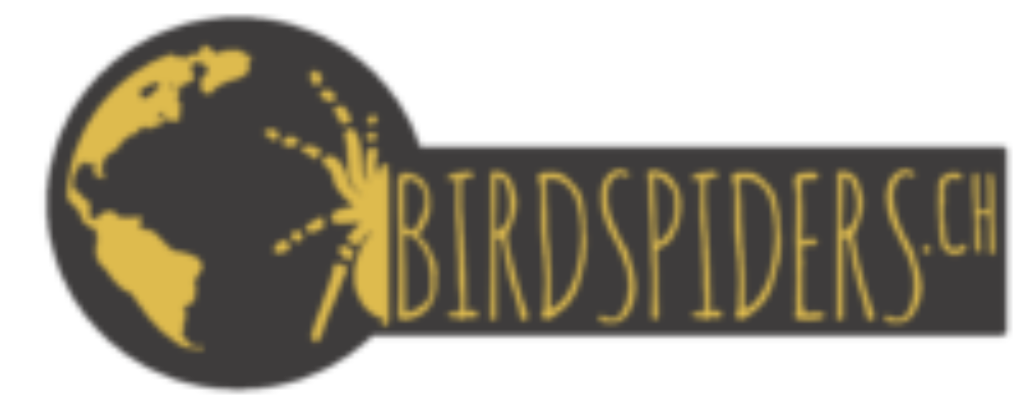 (c) Birdspiders.ch